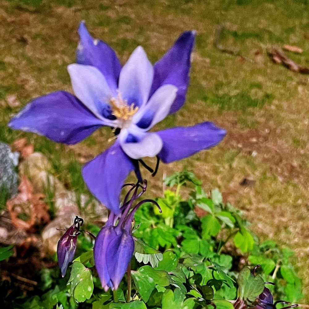 Meet your Posher, Xiao